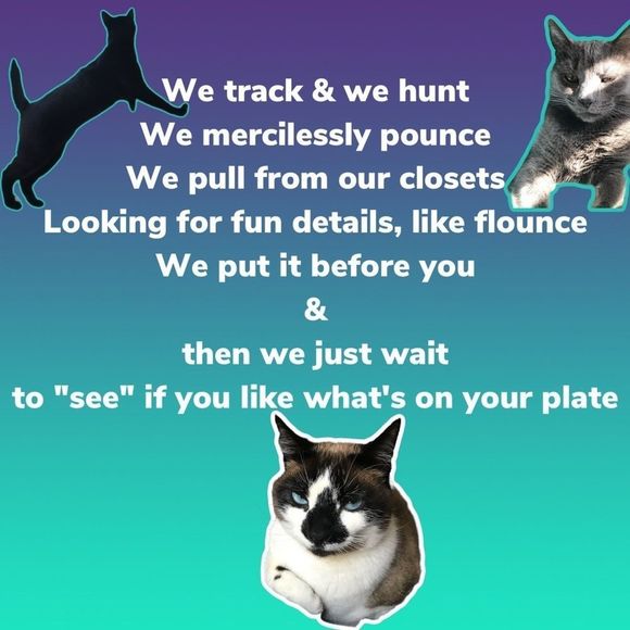 Cats-eye-mint? Yes, It's A Real Thing...on Posh - Picture 6 of 9